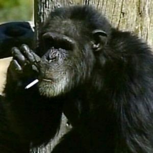 Meet your Posher, Pablo